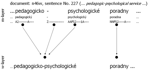 Technical interconnection of w-layer and m-layer: division of word token