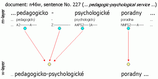 Technical interconnection of the w-layer and m-layer: The division of a word token